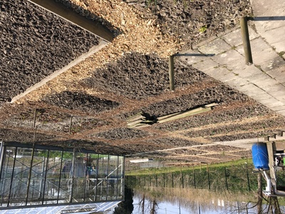 Moestuin 2
